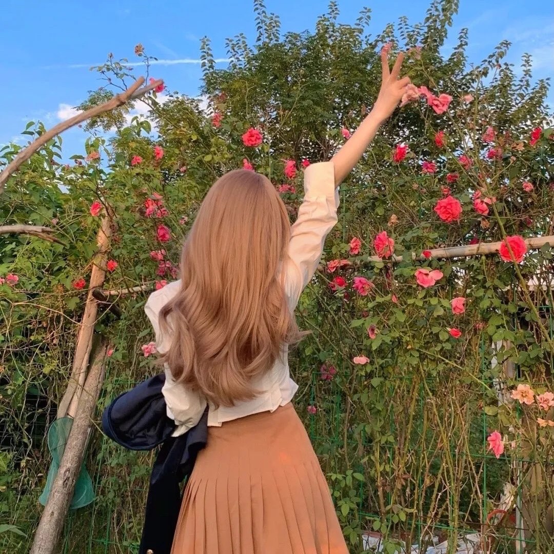 伍六七之玄武国篇